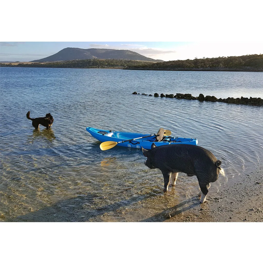 ClearView 2 - Clear-Bottom Single Kayak