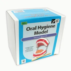 ORAL HYGIENE MODEL